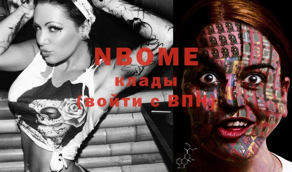 прущие грибы Алексин