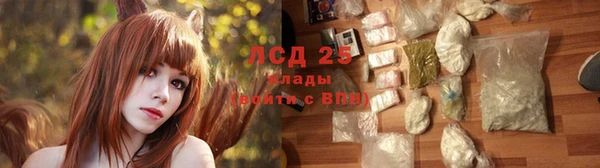 ГАЛЛЮЦИНОГЕННЫЕ ГРИБЫ Алзамай