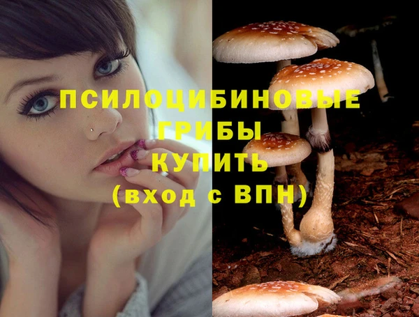 гашик Покров