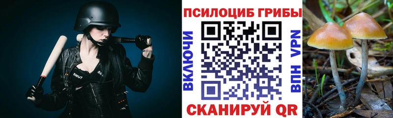 Псилоцибиновые грибы ЛСД  наркота  Баймак 